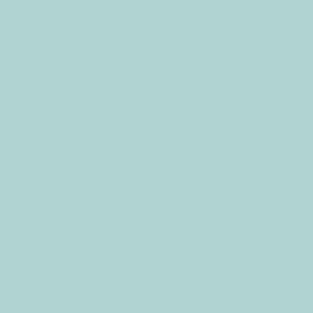 mint.jpg